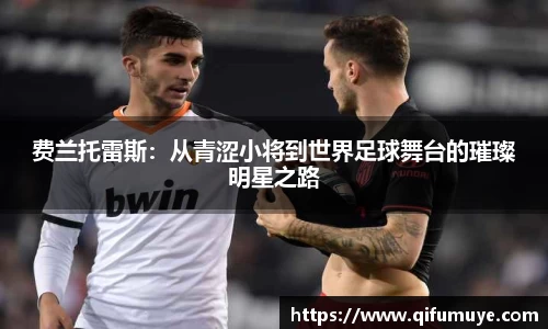 费兰托雷斯：从青涩小将到世界足球舞台的璀璨明星之路